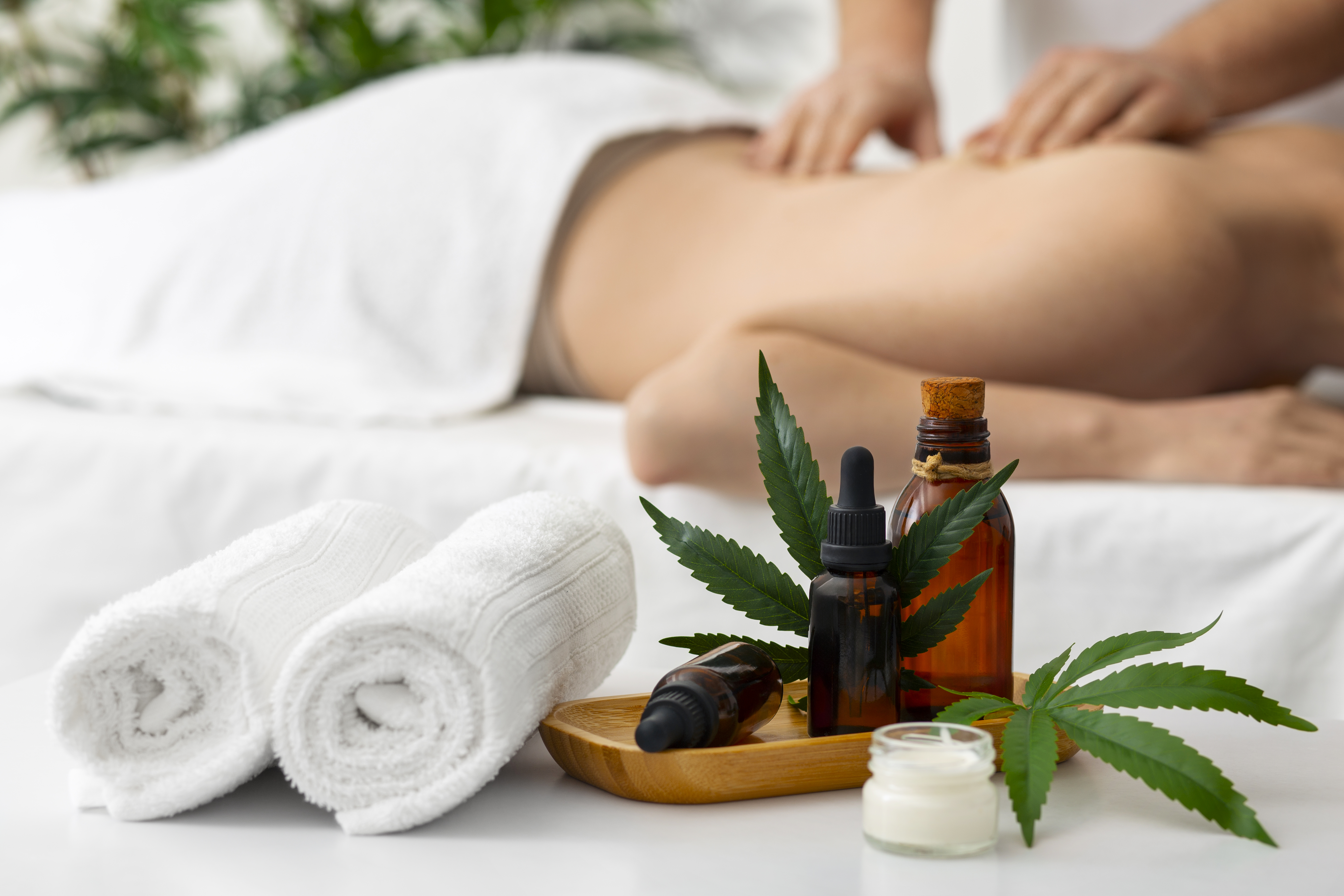 Ancient Tamil Naturopathy session